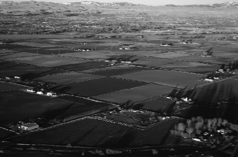 winter sun, southwestern Idaho, February 2011, I winter sun, southwestern Idaho, February 2011, I